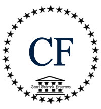 Court Ordered Parenting Programs Feedback Reviews